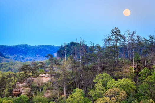Full moon rising over Red River Gorge in Kentucky