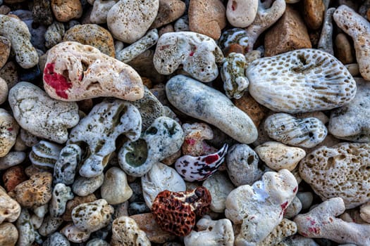 Peblles and pieces of coral on a beach in British Virgin Islands