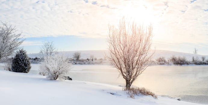 Beautiful winter morning on a small lake near Georgetown, Kentucky