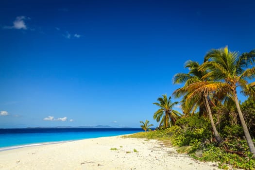 Empty idyllic beach on a small island in BVI