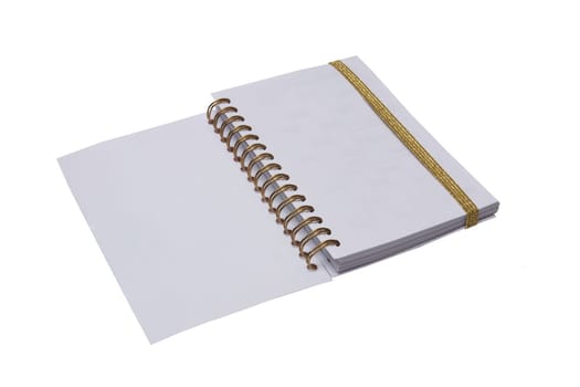 Notebook and pen. A open notebook or book with blank pages and an golden ribbon isolated on a white background.