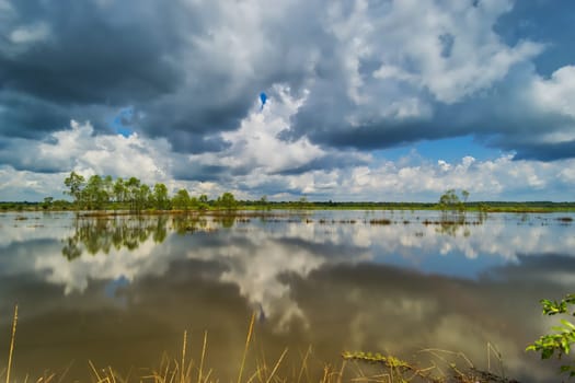 standing water reflect the sky with cumulus clouds