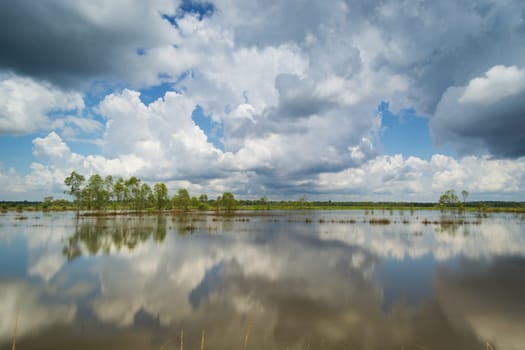 standing water reflect the sky with cumulus clouds