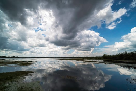 standing water reflect the sky with cumulus clouds
