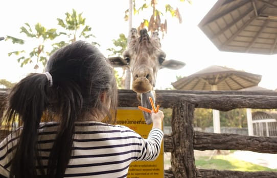 Chiang Mai, Thailand - November 24, 2018:  CHIANG MAI NIGHT SAFARI: zoo with many wildlife animals in natural habitat, One of the main attractions of northern Thailand