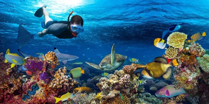 young men snorkling exploring underwater coral reef landscape background  in the deep blue ocean with colorful fish and marine life
