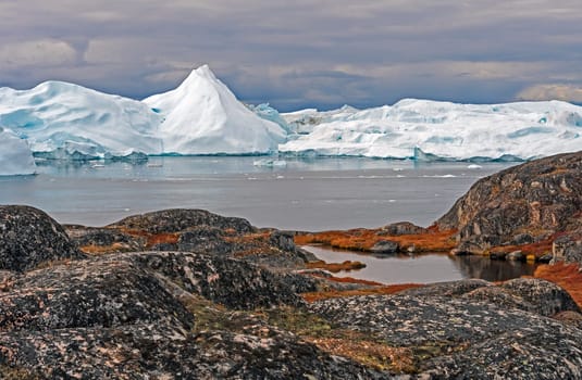 Colorful Coastlands along an Arctic Shore near the Icefjord of Ilulissat, Greenland