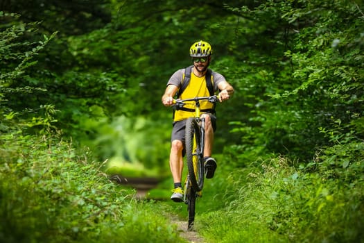 mountain biker on yellow bike in the woods