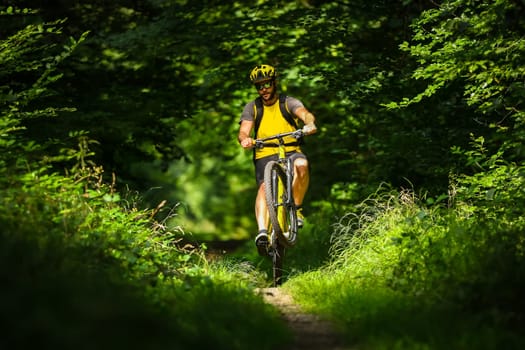 mountain biker on yellow bike in the woods