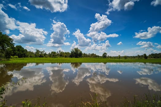 Landscape with standing water and cumulus clouds