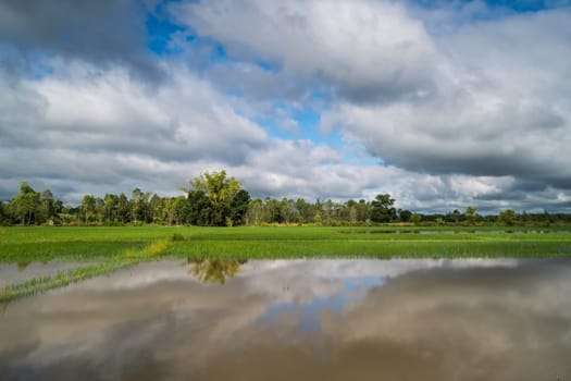 Landscape with standing water and cumulus clouds