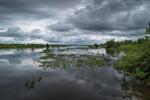 Landscape with standing water and cumulus clouds