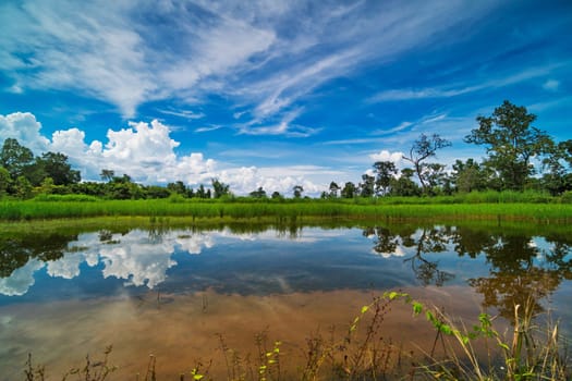 Landscape with standing water and cumulus clouds