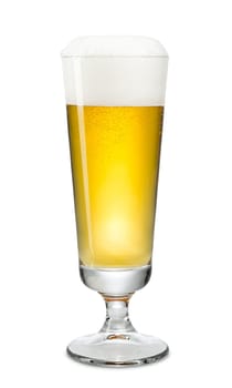 fresh beer in cup on white background