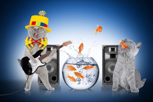 teamwork concept with cats and fish bowl