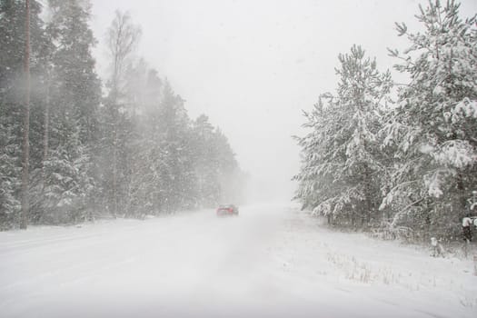 Beautiful landscape of the forest on a cold winter day with trees covered with snow. Snowfall in the forest in Latvia. Country road covered with snow. Winter in forest. ..