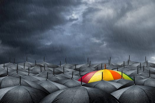 rainbow umbrella in mass of black umbrellas