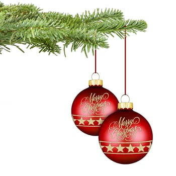 fir with a pair of red golden christmas balls