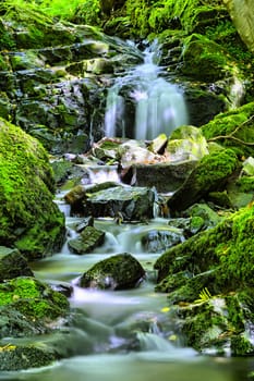 little waterfall in the woods