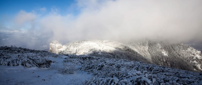 Snowy fir trees in fog in the mountains - Magic holiday background