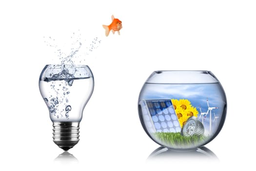 fish energy change concept