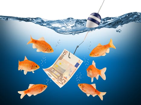 fish temptation concept