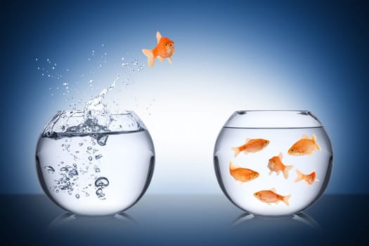 fish return concept