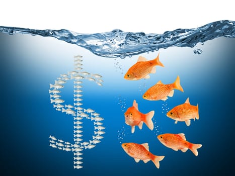 fish speculation concept with dollar symbol
