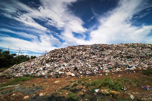 natural disaster of garbage dump result of consumerism