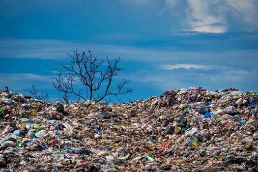 environmental damage of garbage in the nature