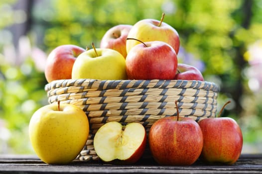 Organic apples in the garden. Balanced diet.