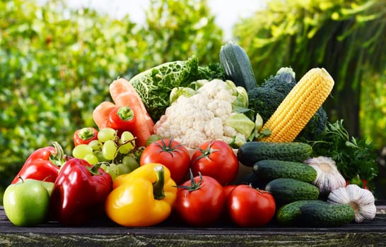 Assorted raw organic vegetables in the garden.