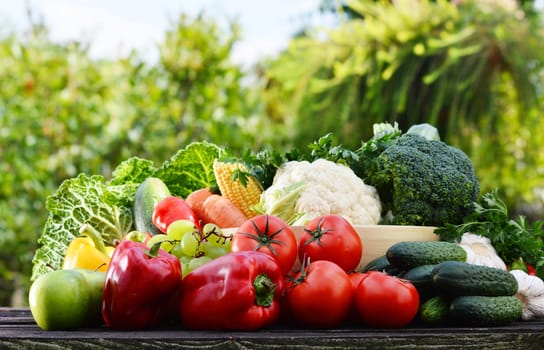 Assorted raw organic vegetables in the garden.