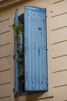 A blue window shop on a yellow house wall with a flower behind it