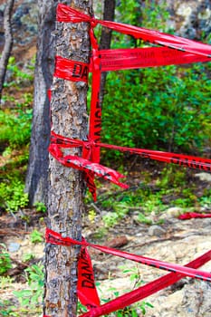 Red danger tape wrapped around a tree.