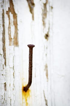 Old rusty nail on old weathered wall