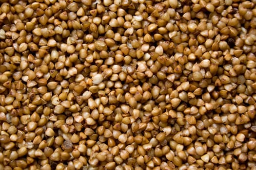 Buckwheat grains closeup view from the top