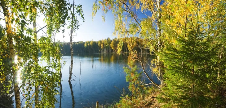 lake with golden trees on the bank