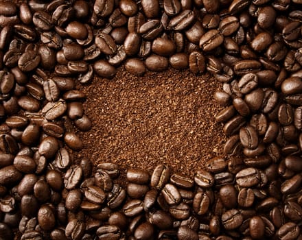 Frame shaped roasted coffee beans and powder