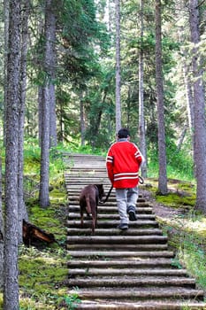 A young boy wakking up steps with his dog.