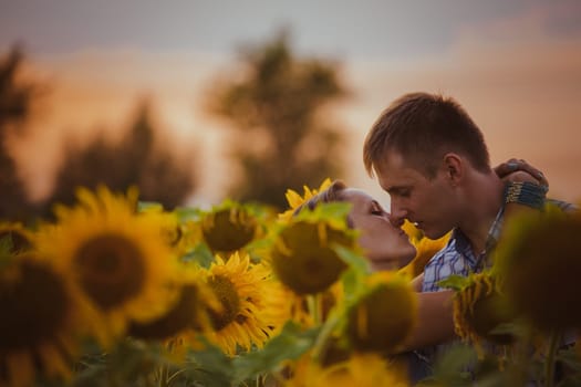 Beautiful couple having fun in sunflowers fields