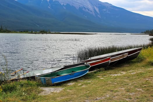Several aluminum row boats lined up on a shore.