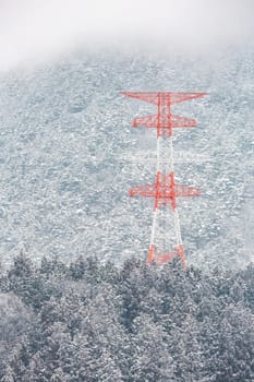electric pole Power post with winter Landscape of Pine Forest at Nagano Chubu Japan