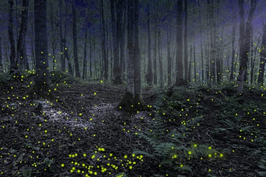 Beautiful nighttime forest scene with moonlight and fire flies in Northern Michigan
