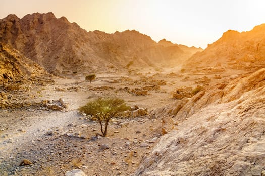 Ruins of an ancient village in the mountains of Ras Al Khaimah, UAE