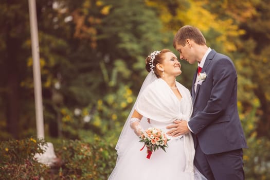 young family, the wedding, the newlyweds