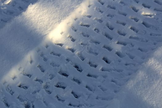 Quad Tracks in the Snow.