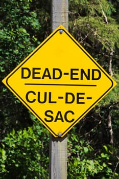 Closeup of a yellow Dead End sign.