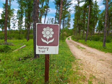 Nature Trail Sign in a Forest.