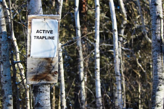 Sign on an Active Trapline in the Woods.